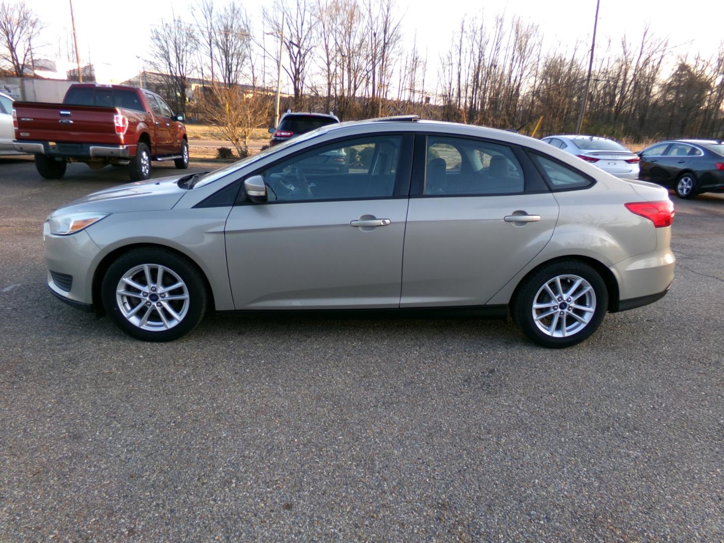 2015 Tectonic Silver Metallic /Black Ford Focus (1FADP3F23FL) , located at 401 First NE, Bearden, AR, 71720, (870) 687-3414, 33.726528, -92.611519 - Photo#1